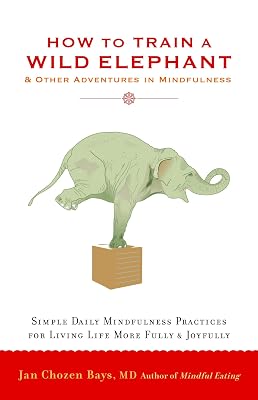 How to Train a Wild Elephant: And Other Adventures in Mindfulness Paperback – July 12, 2011