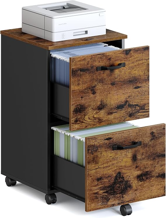 VASAGLE 2-Drawer File Cabinet, Small Rolling Filing Cabinet