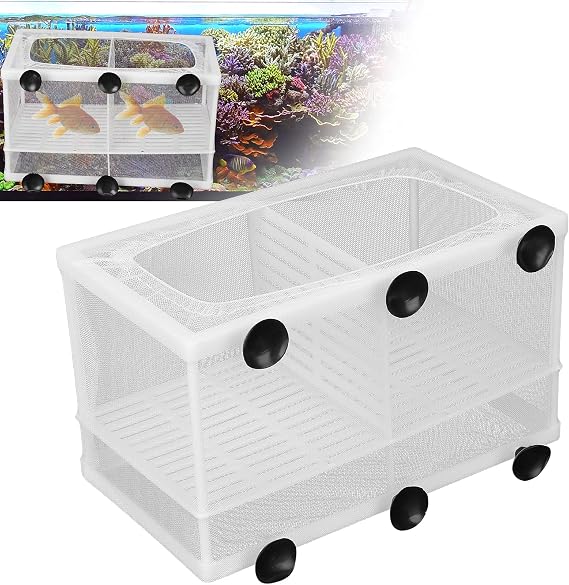 Fish Breeder Box, Fish Isolation Boxes with Suction Cups Hatching Incubator Isolation Box for Small Fishes Hatchery(L with Partition)