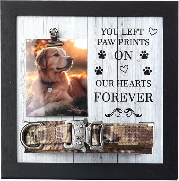 Pet Memorial Frame with Collar Holder Dog & Cat Loss Remembrance Gift You Left Paw Prints on Our Hearts Forever Sympathy Keepsake Frame for Pet Lovers