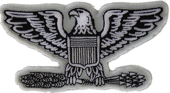 Colonel Eagle Insignia Patch - 4x2.1 inch. Embroidered Iron on Patch (P5772)