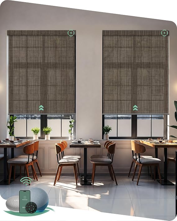 Yoolax Smart Solar Shades, Light Filtering Motorized Blinds with Remote | Flame Retardant, Automatic Blinds for Home Office Dining Room, Works with Alexa Google Assistant Apple Home, Custom Size