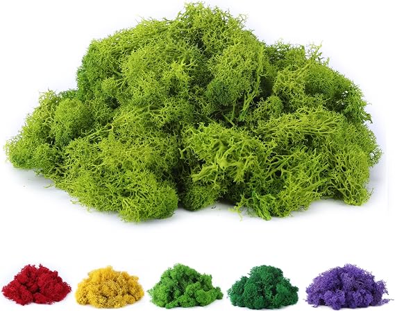 Fake Moss Preserved Reindeer Moss 3.5 OZ for Potted Plants, Arts and Crafts, Terrariums, Wall Decor, Centerpieces, Fairy Gardens, Wedding, Floral Project (Chartreuse)