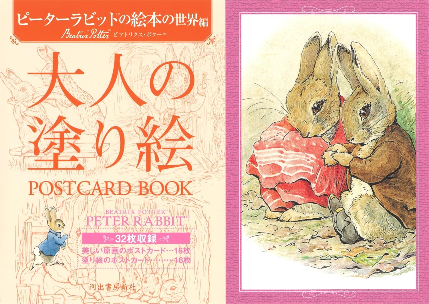 Adult Coloring Book POSTCARD BOOK Peter Rabbits Story Tankobon Hardcover – March 13, 2020